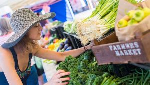 Grocery Tips for Healthy Shopping - Longevity Blog