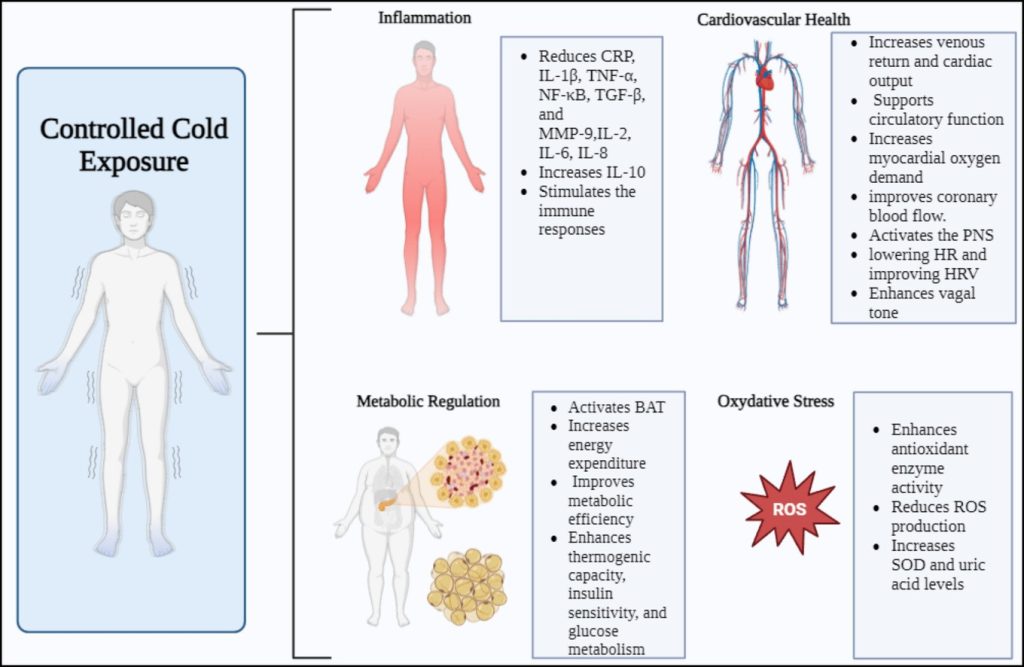 Cold therapy exposure